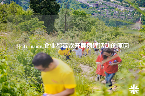 保亭企业都喜欢开展团建活动的原因